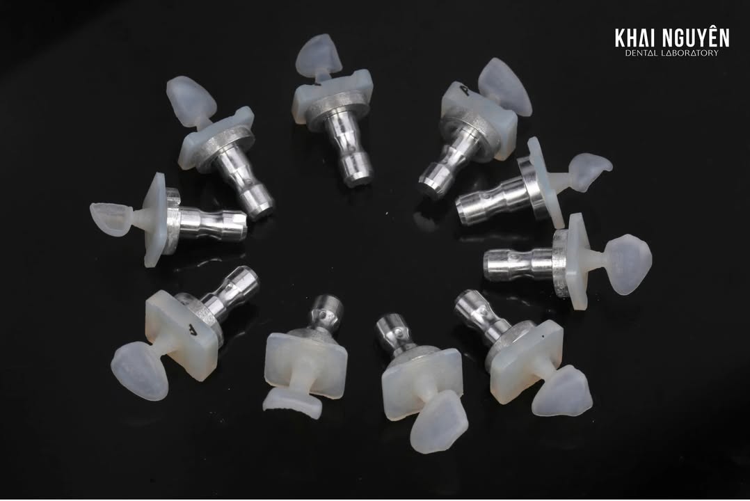 Veneer 10 răng hàm trên bằng Amber Mill, màu 1M1 đến 1M2